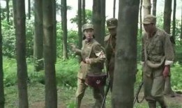 老杨最新爆料视频播放在线观看,独家内容在线观看，揭秘幕后真相