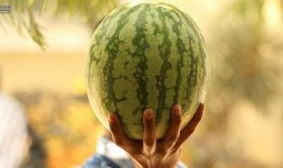 西瓜特效爆料娱乐圈,娱乐圈幕后故事大揭秘