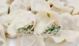 鲅鱼饺子爆料怎么做的视频,视频教程详解