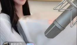 洪小乔爆料视频大全集播放,揭秘背后真相与精彩瞬间