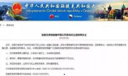 南京导游爆料新闻视频,揭秘古都背后的故事与真相